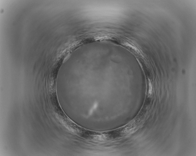 X0000086890411200704231133