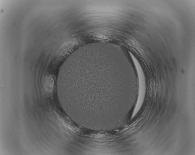 X0000086890412200704231133