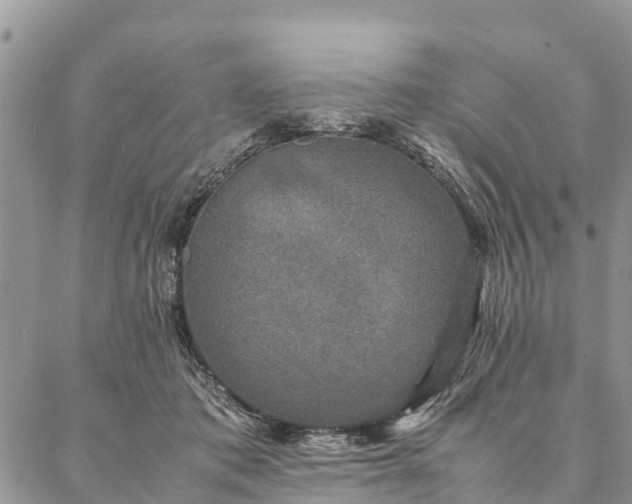 X0000086890413200704231133