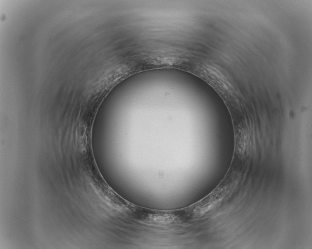 X0000086890414200704231133