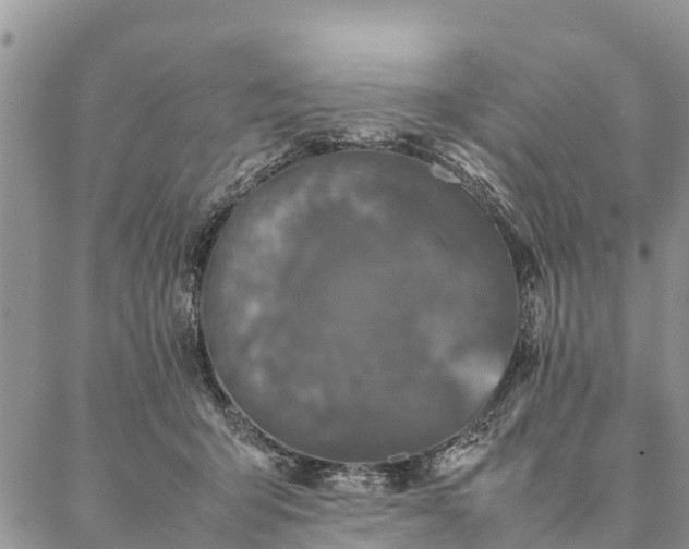 X0000086890415200704231133