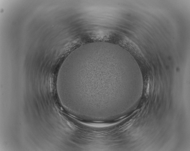 X0000086890416200704231133