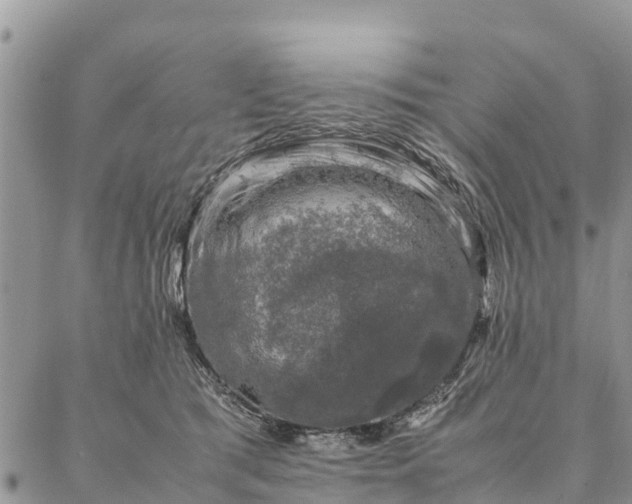 X0000086890417200704231133