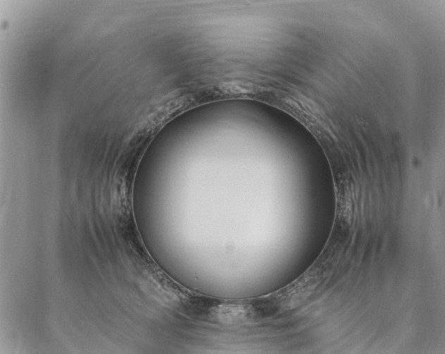 X0000086890418200704231133