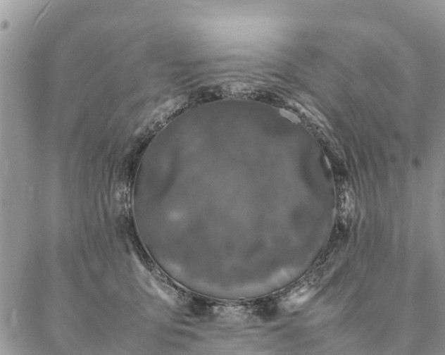 X0000086890419200704231133