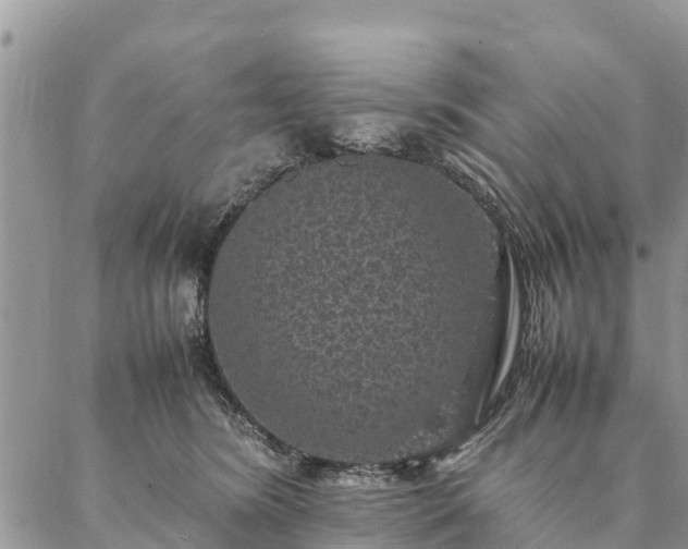 X0000086890420200704231133