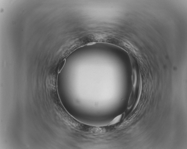 X0000086890421200704231133