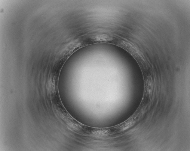 X0000086890422200704231133