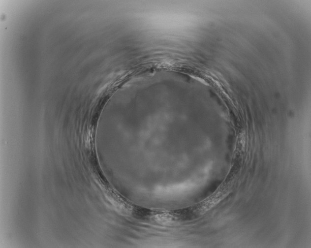 X0000086890423200704231133