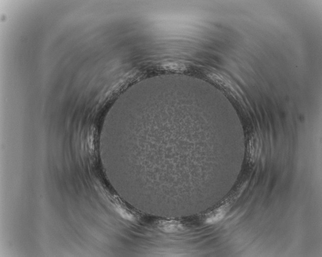 X0000086890424200704231133