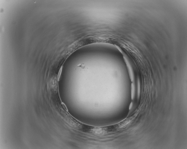 X0000086890425200704231133