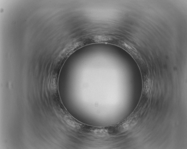 X0000086890426200704231133