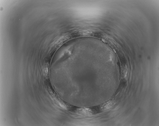 X0000086890427200704231133