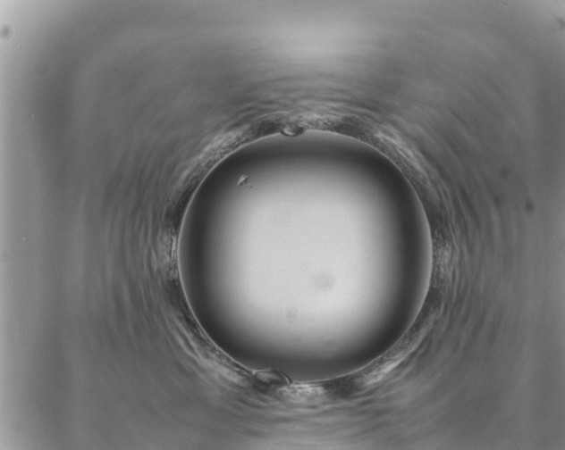 X0000086890429200704231133