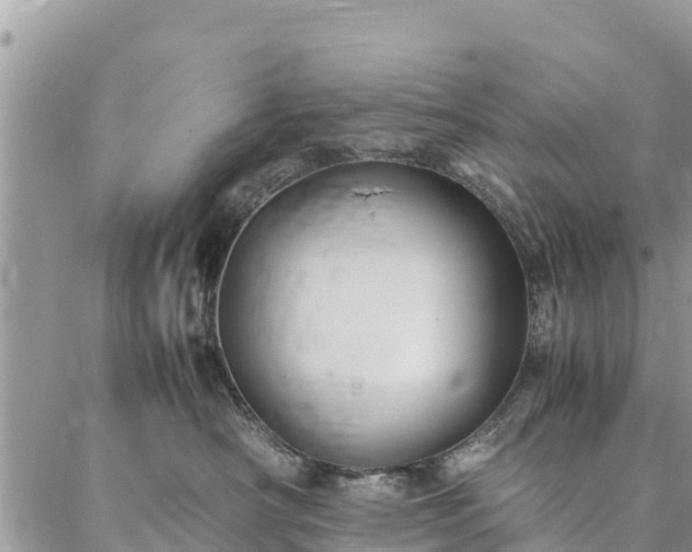 X0000086890430200704231133