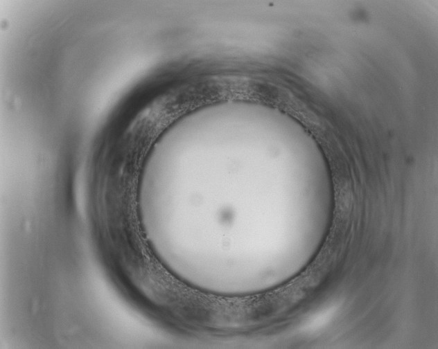 X0000086890431200704231133