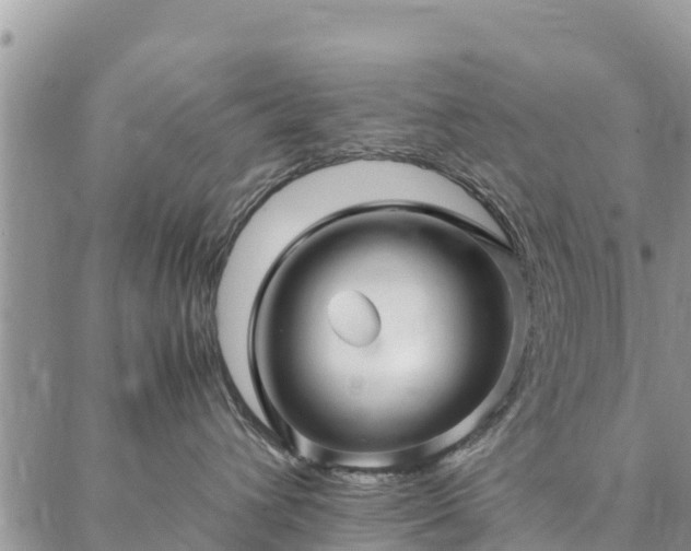 X0000086890432200704231133