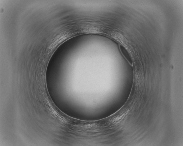 X0000086890433200704231132