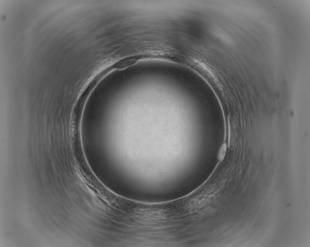 X0000086890435200704231132