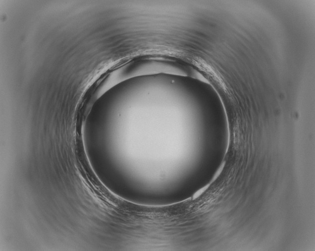 X0000086890436200704231132