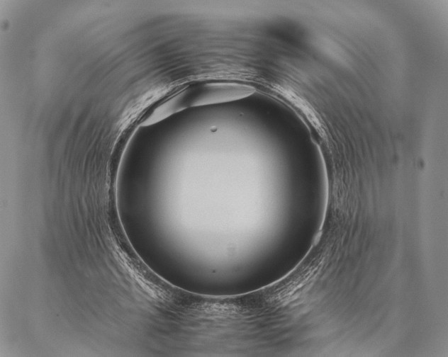 X0000086890437200704231132