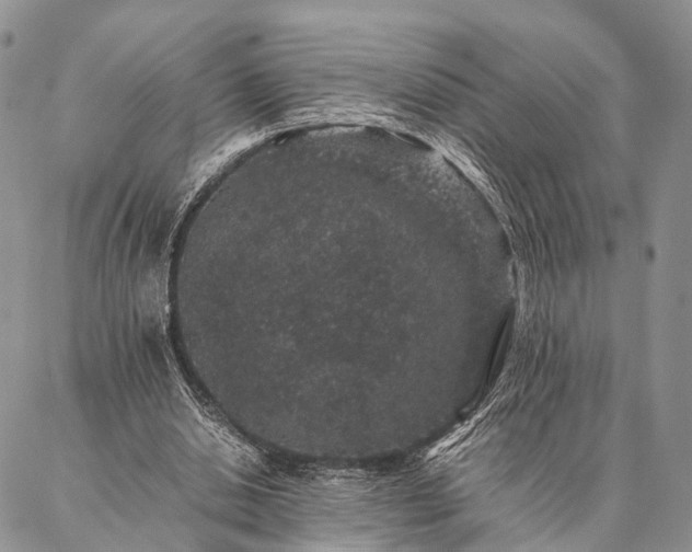 X0000086890438200704231132