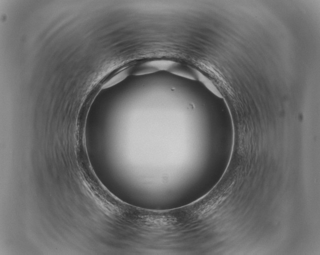 X0000086890439200704231132