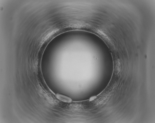 X0000086890440200704231132