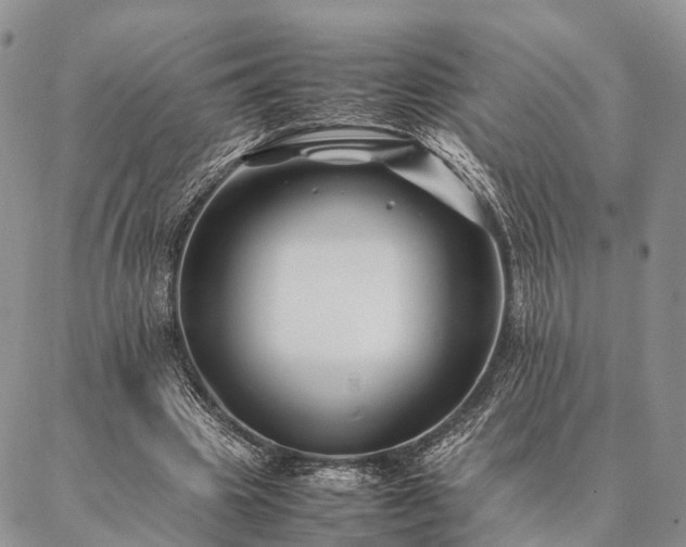 X0000086890441200704231132