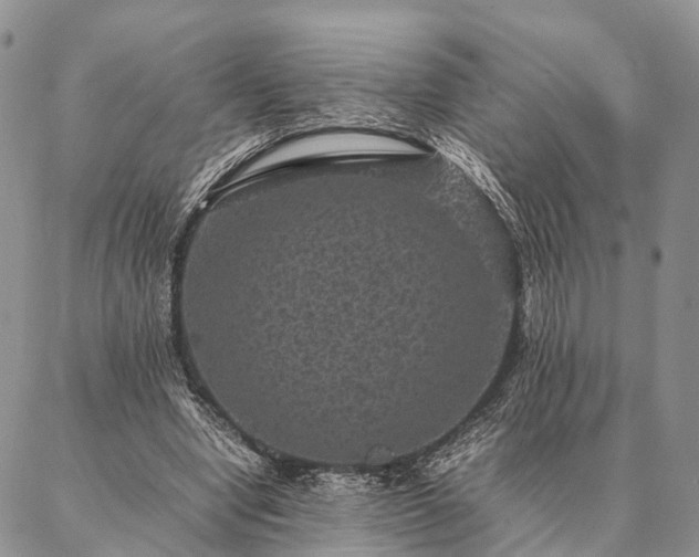 X0000086890442200704231132