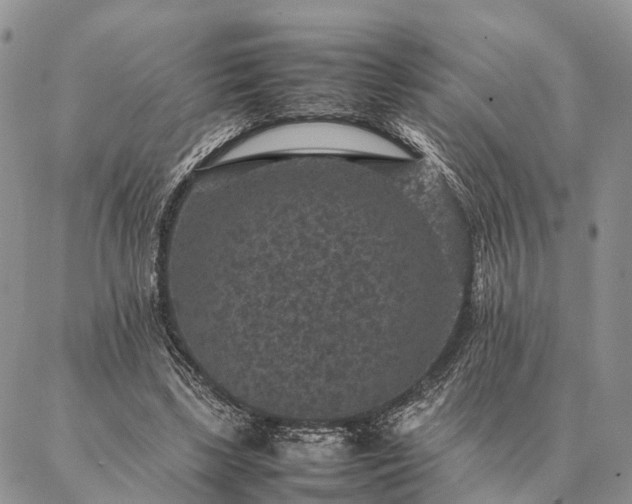 X0000086890443200704231132