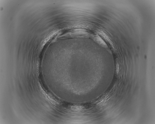 X0000086890444200704231132