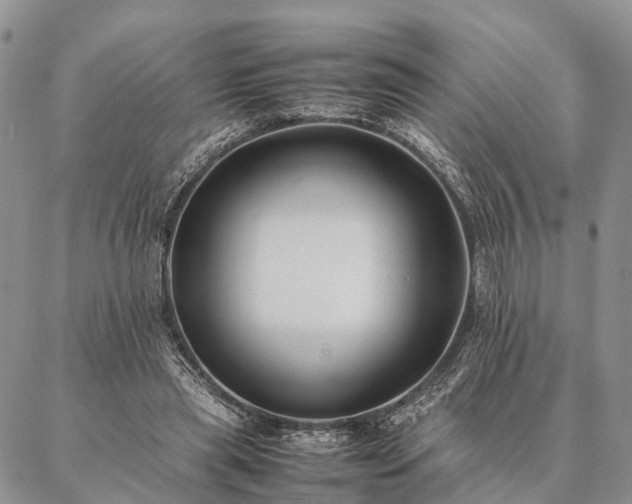 X0000086890445200704231132