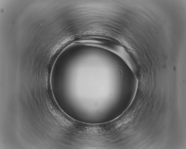 X0000086890446200704231132