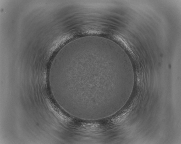 X0000086890447200704231132