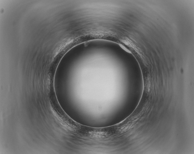 X0000086890448200704231132