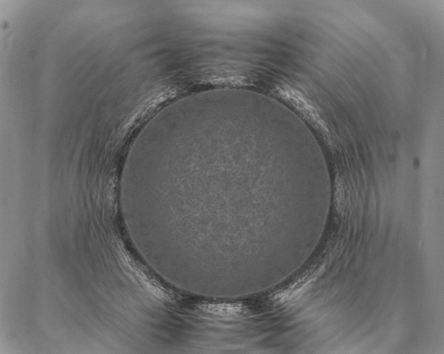 X0000086890449200704231132