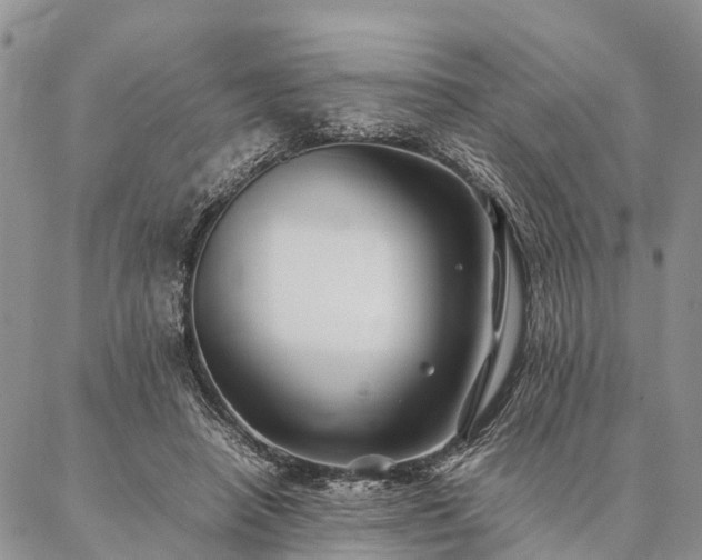 X0000086890450200704231132