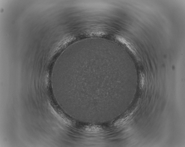 X0000086890451200704231132