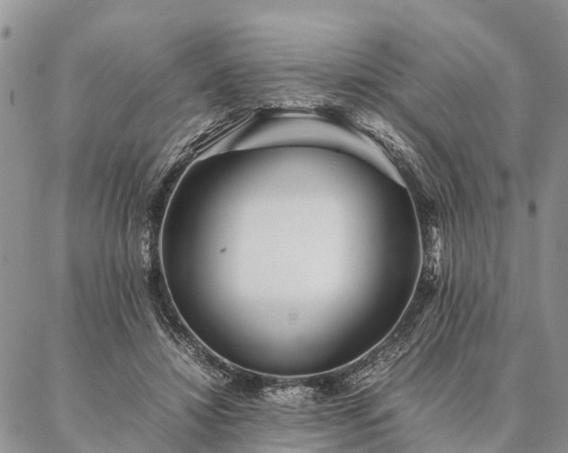 X0000086890452200704231132