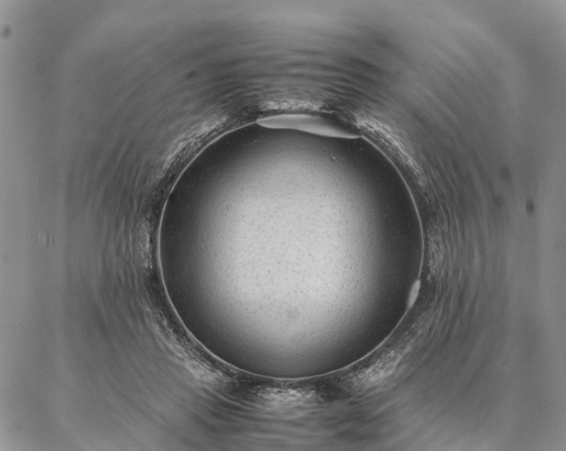 X0000086890453200704231132