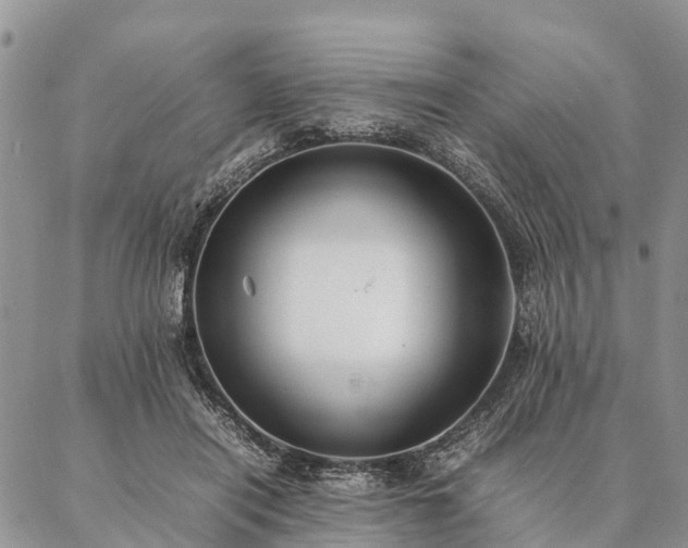 X0000086890454200704231132