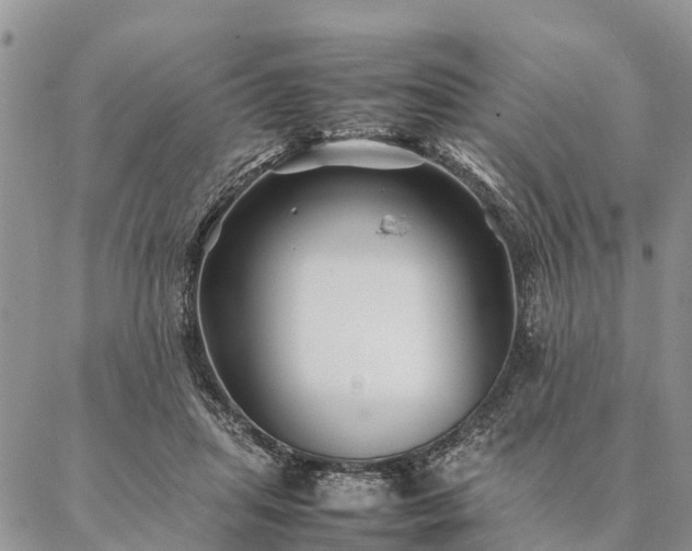 X0000086890455200704231132