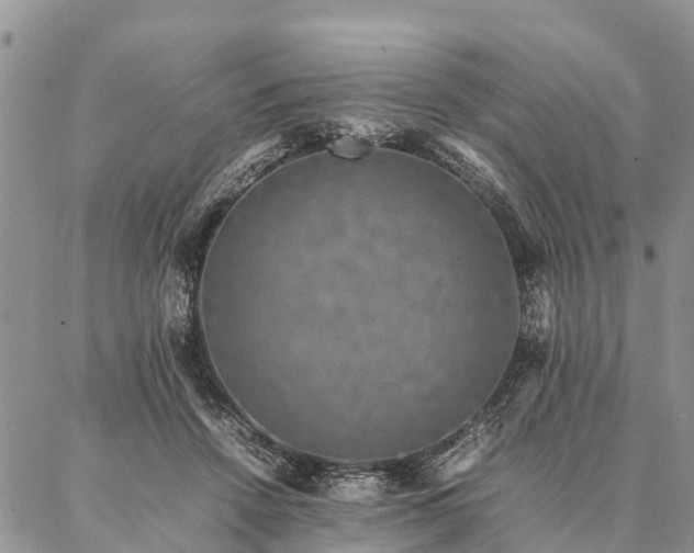 X0000086890456200704231132