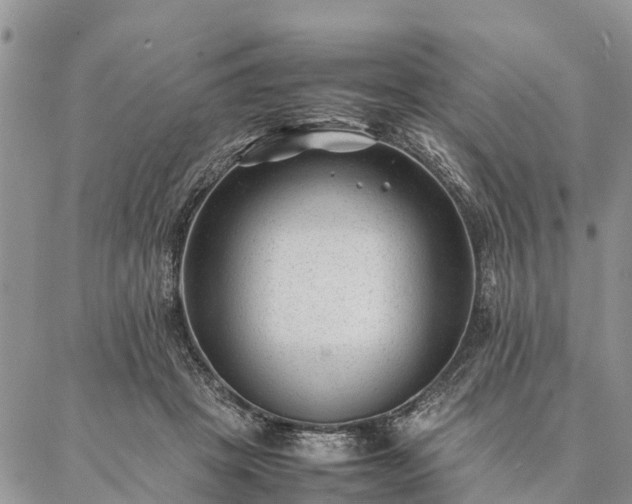 X0000086890457200704231132