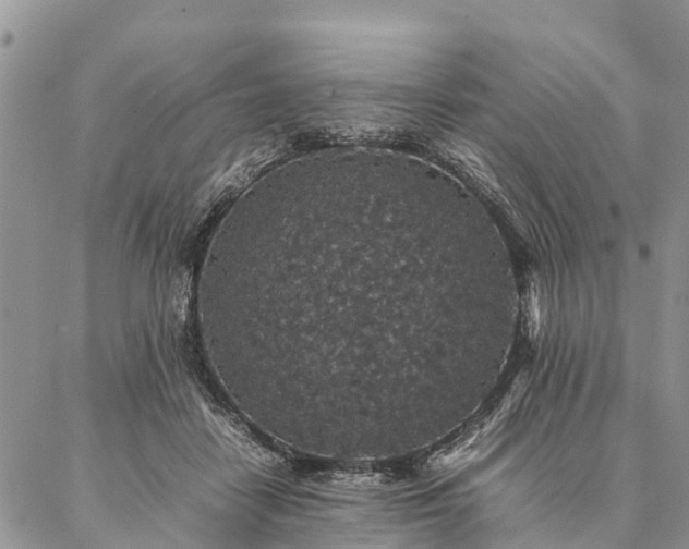 X0000086890458200704231132