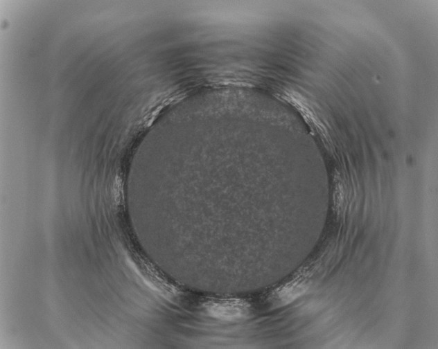 X0000086890459200704231132