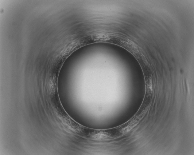 X0000086890460200704231132