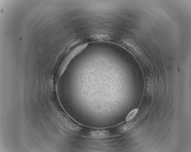 X0000086890461200704231132