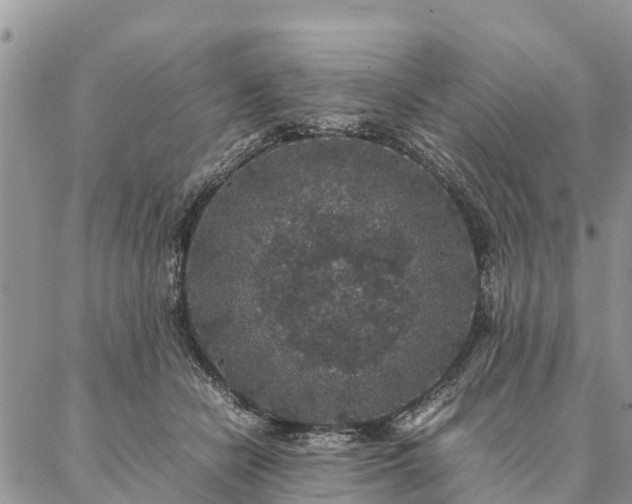 X0000086890462200704231132